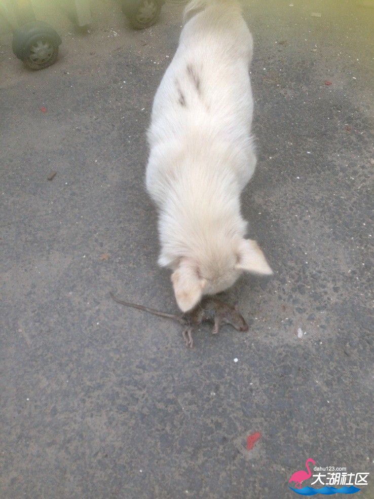 QQ图片20130820235516.jpg