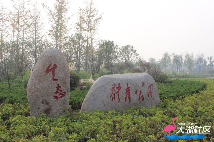 照片 184.jpg