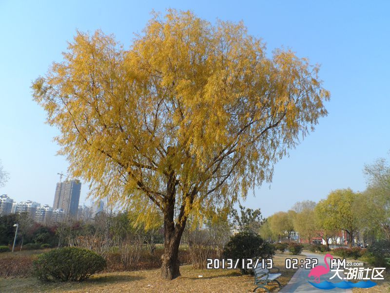 SAM_0023_副本.jpg