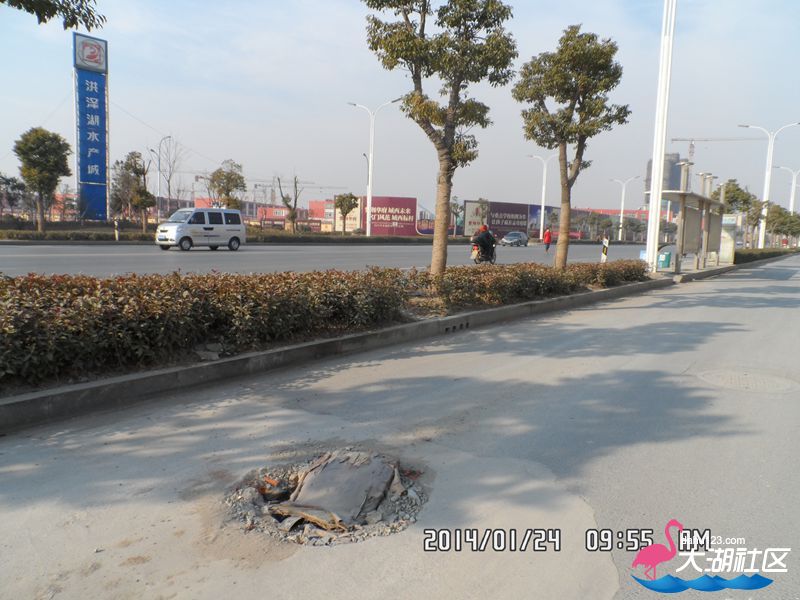 SAM_0191_副本.jpg