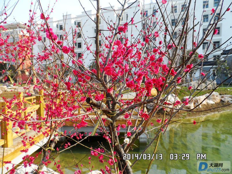 SAM_0264_副本.jpg