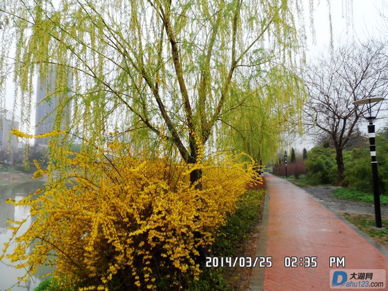 SAM_0367_副本.jpg