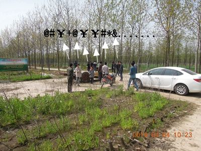 06.jpg