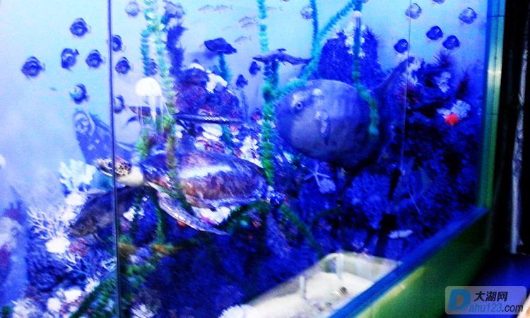 IMG_20140731_110624.jpg